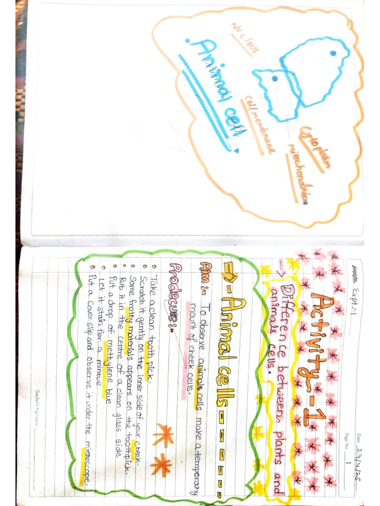 Science Lab File | PDF