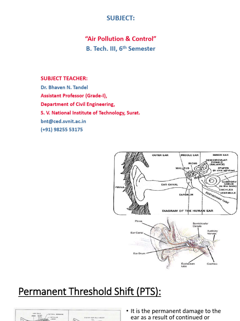 Noise Pollution - Human Ear - Anatomy & Damage | PDF