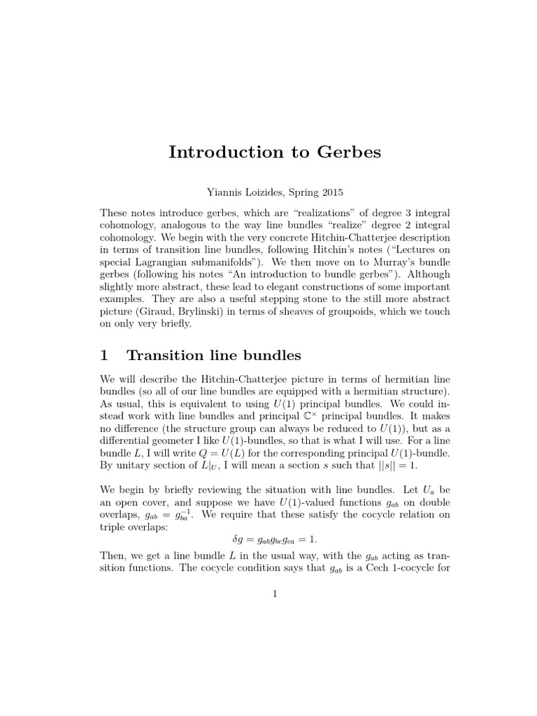 Introduction To Bundle Gerbes | PDF | Mathematical Concepts | Topology