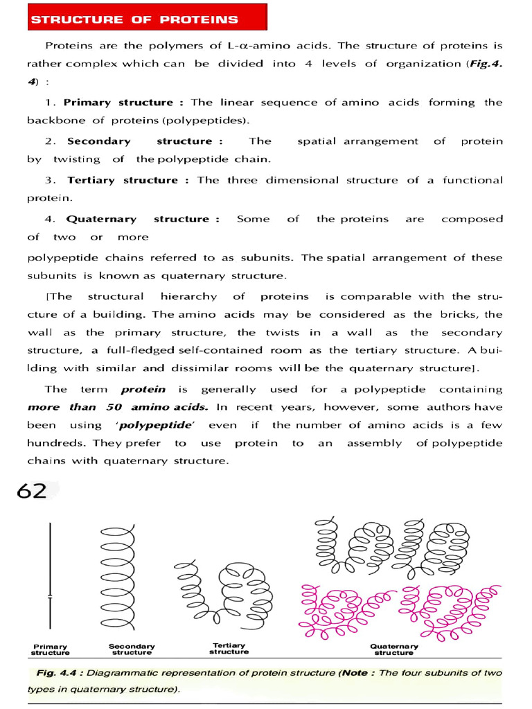 Protein Structure and Classification | PDF | Protein Structure ...