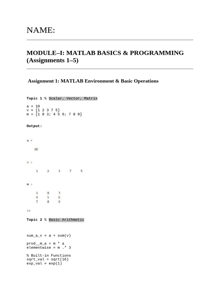 Matlab Assignement 1 - 4 New | PDF | Matrix (Mathematics) | Determinant