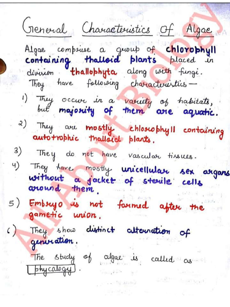 Algae (My Notes) | PDF