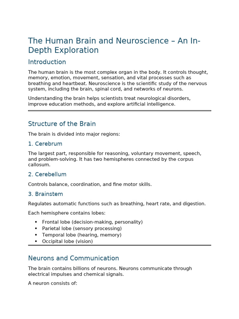 The Human Brain and Neuroscience | PDF | Brain | Human Brain