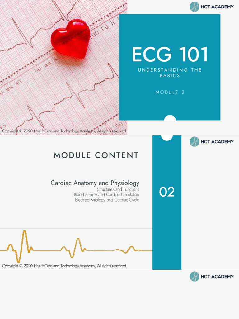 Ecg101module2 210622 001017 | PDF