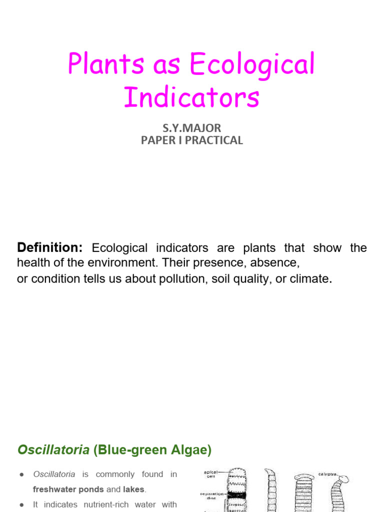 Plants As Ecological Indicators | PDF