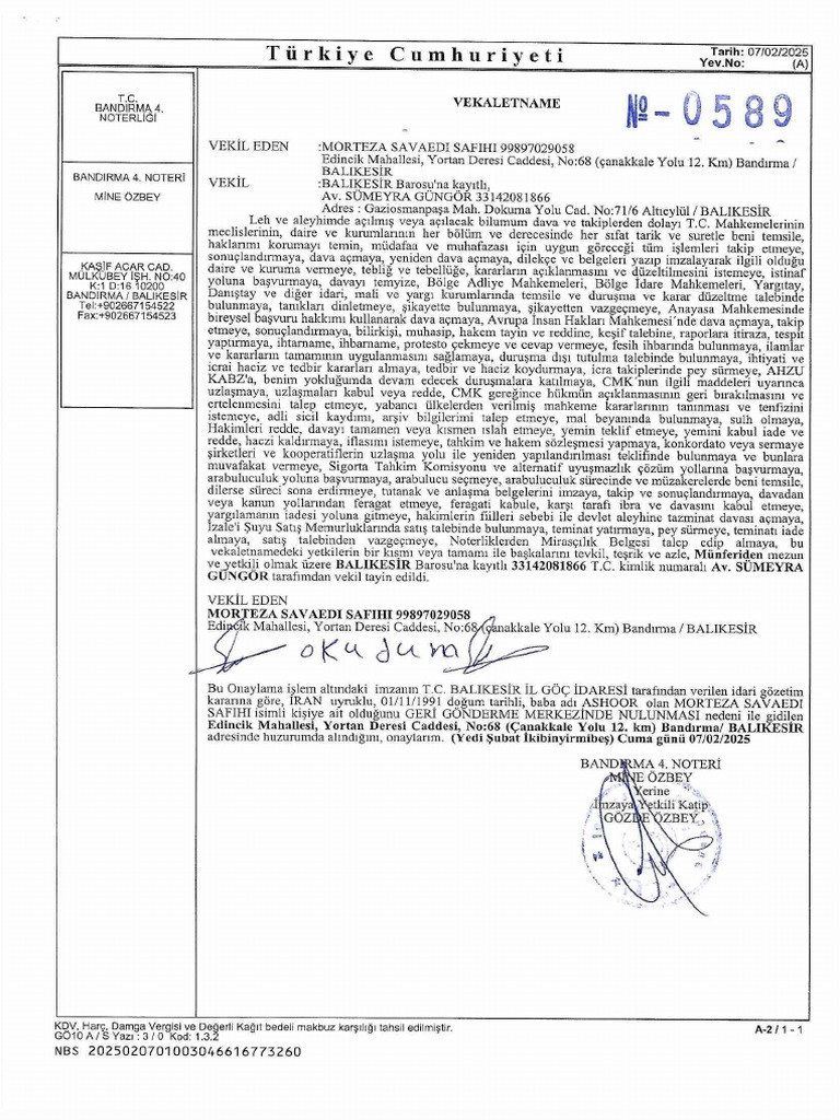589 | PDF