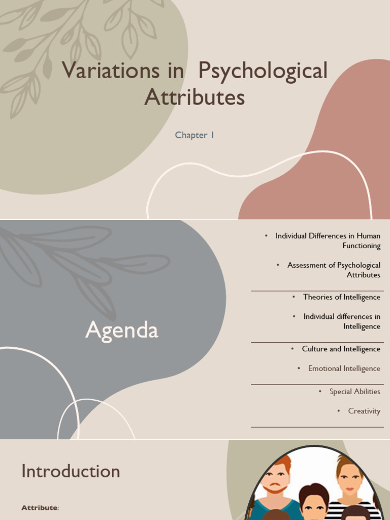 Variation in Attributes of Learning (FV) | PDF | Educational Assessment ...