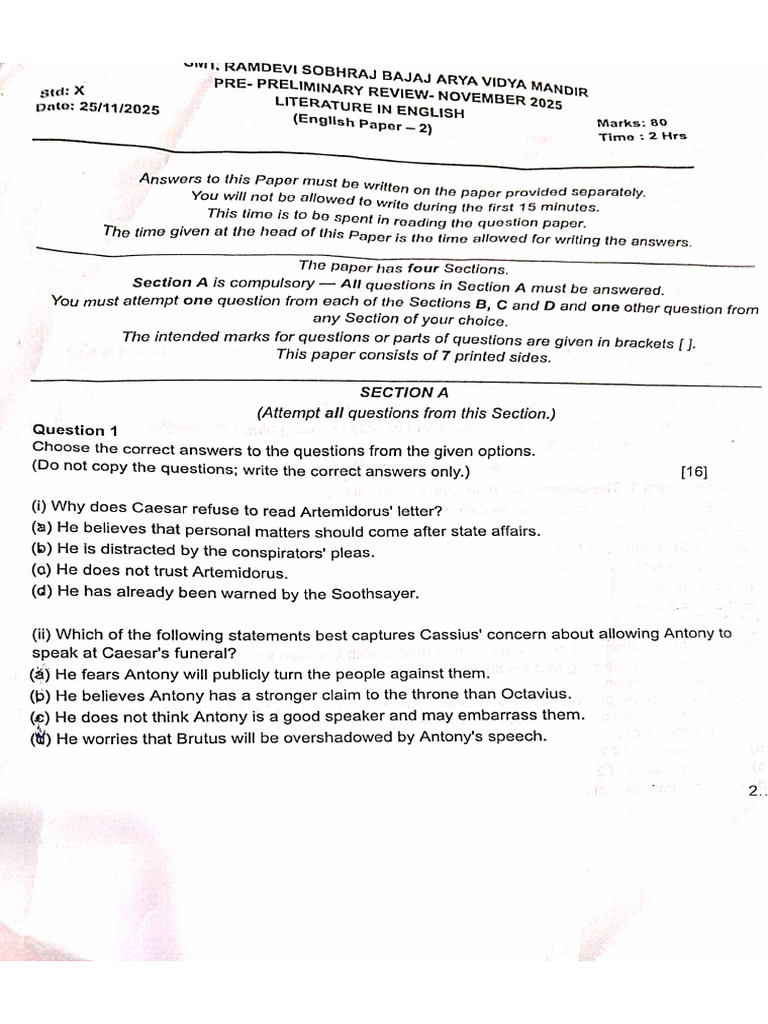 AVM Literature Prelim Paper | PDF