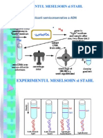 3.Experimentul Meselsohn Si Stahl