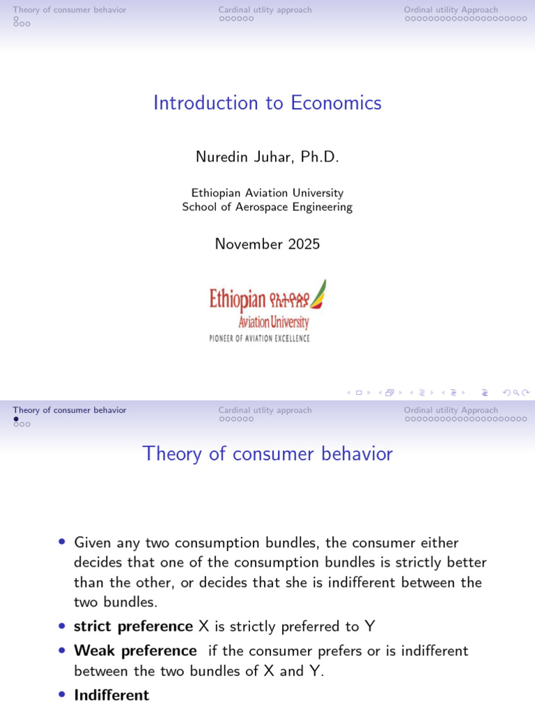 Theory of Consumer Behavior | PDF | Utility | Marginal Utility
