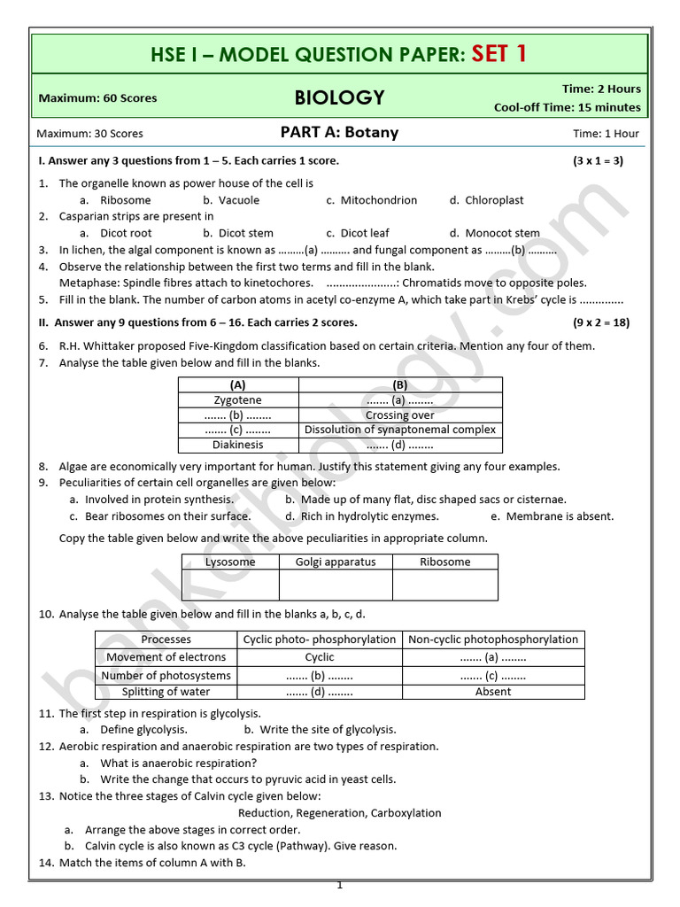 Biology (+1) Model QPs 10 Sets | PDF | Kidney | Cellular Respiration