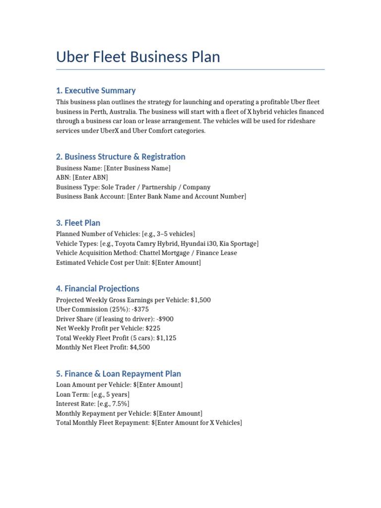 Uber Fleet Business Plan Template | PDF
