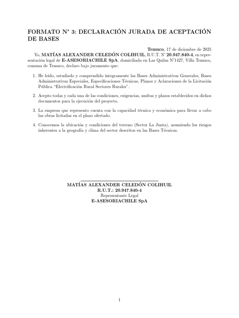 Formato 03 Aceptacion Bases | PDF