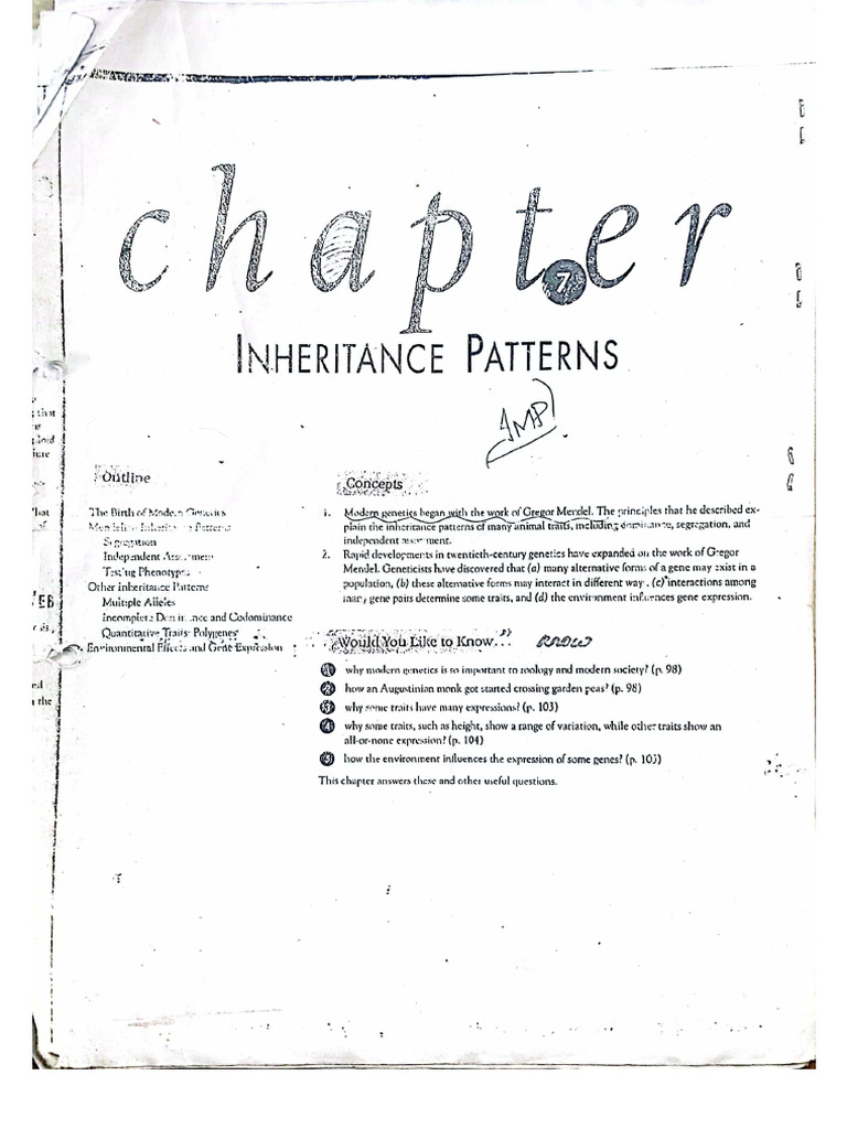 Chapter 7 (Inheritance) | PDF