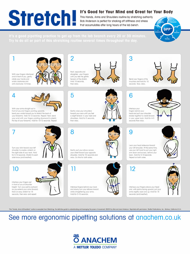 Lab Stretches | PDF