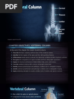 X-Ray Image Formation Explained | PDF | X Ray | Radiography
