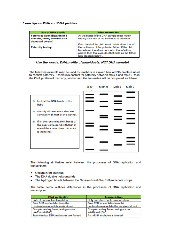 Exam Tips On DNA and DNA Profiles - 991394574867366315 | PDF