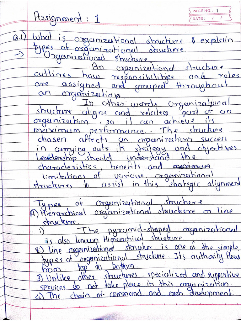 PM Assignment | PDF