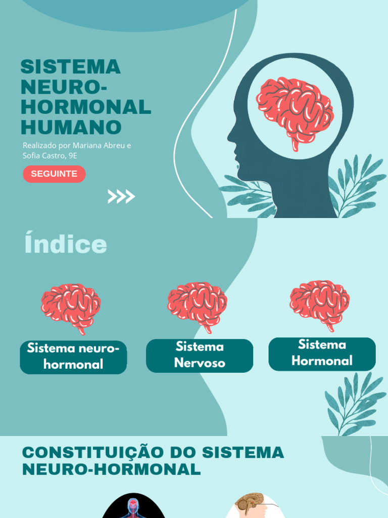 Cópia de Effects of Drugs and Alcohol On The Brain Slides - 20250526 ...
