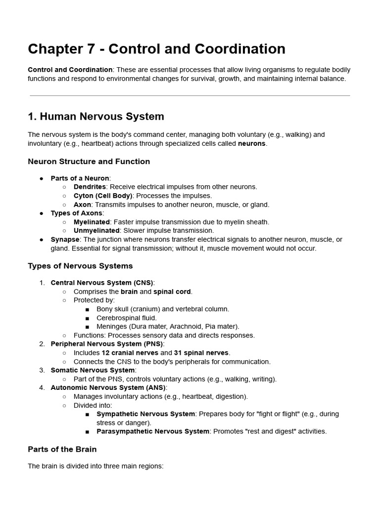 Chapter 7 - Control and Coordination | PDF | Endocrine System | Nervous ...