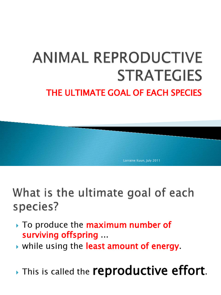 Animal Reproductive Strategies A | PDF | Egg | Mating