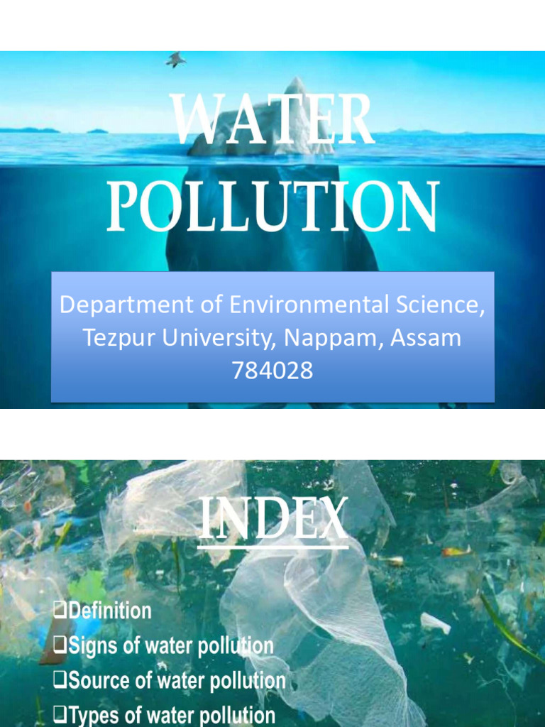 Water Pollution | PDF