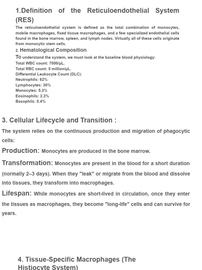 Reticuloendothelial System | PDF
