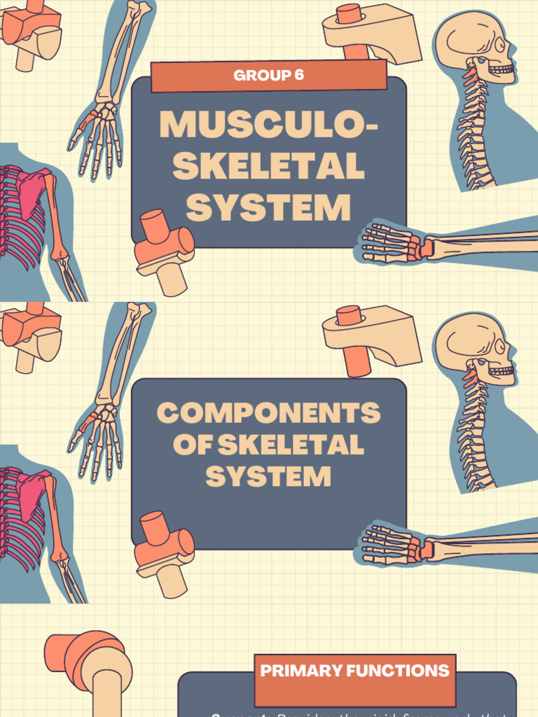 Musculoskeletal System Science Quiz | PDF | Muscle | Skeleton