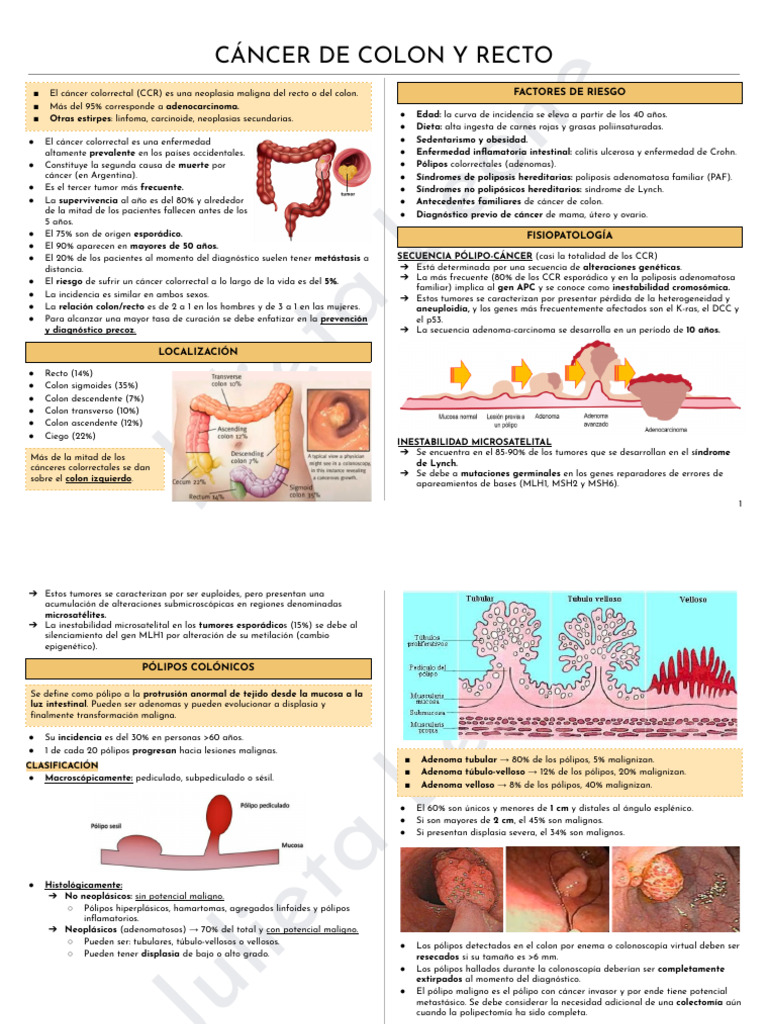 Cáncer de Colon y Recto | PDF | Cáncer colonrectal | Cáncer