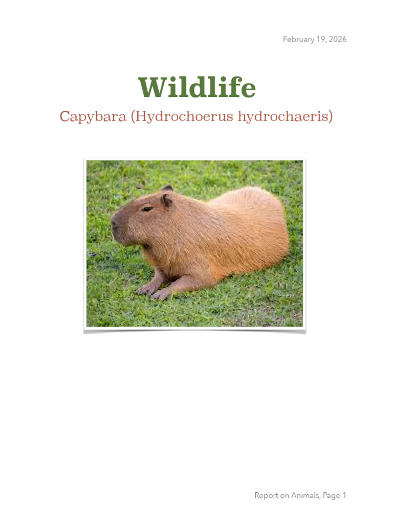 Capybara | PDF | Zoology
