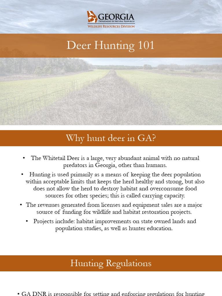 Hunting Deer 101-DNR Web Version | PDF | White Tailed Deer | Shotgun
