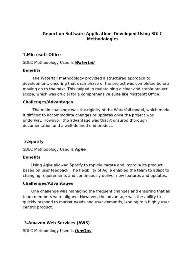 REPORT Software Applications | PDF