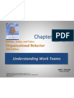 Organizational Behavior: Understanding Work Teams