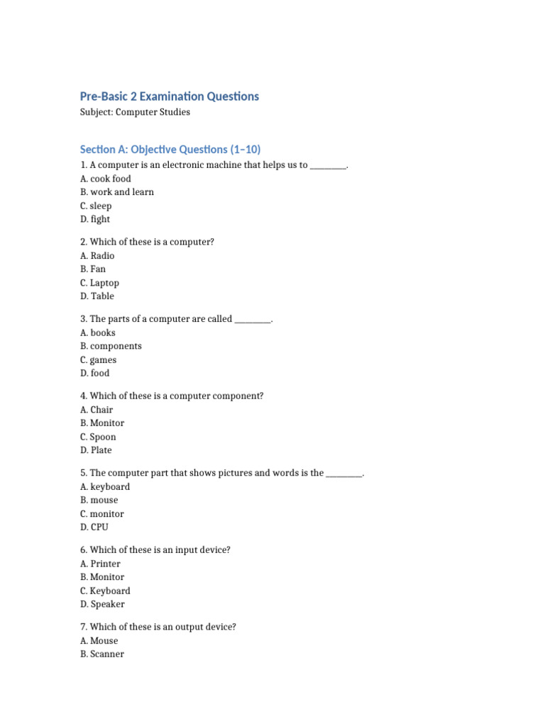 Pre Basic 2 Computer Studies Exam | PDF
