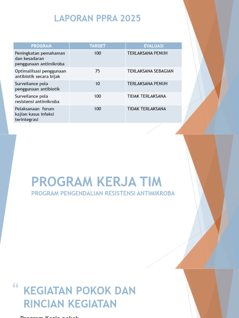 Program Kerja Ppra | PDF