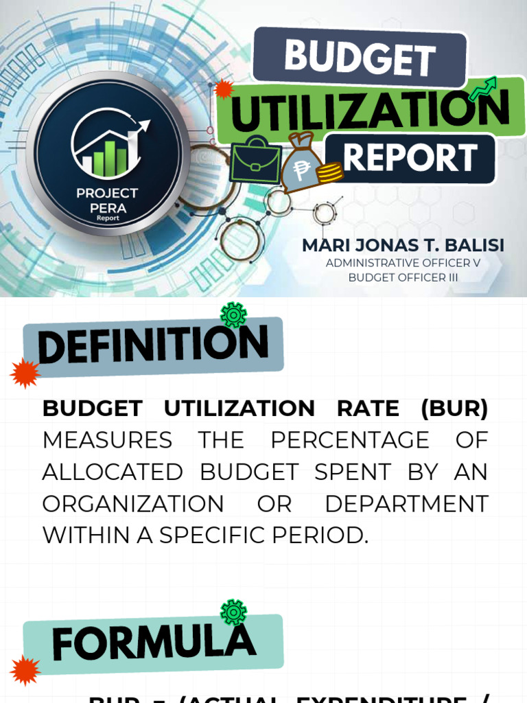 Budget Utilization Report | PDF