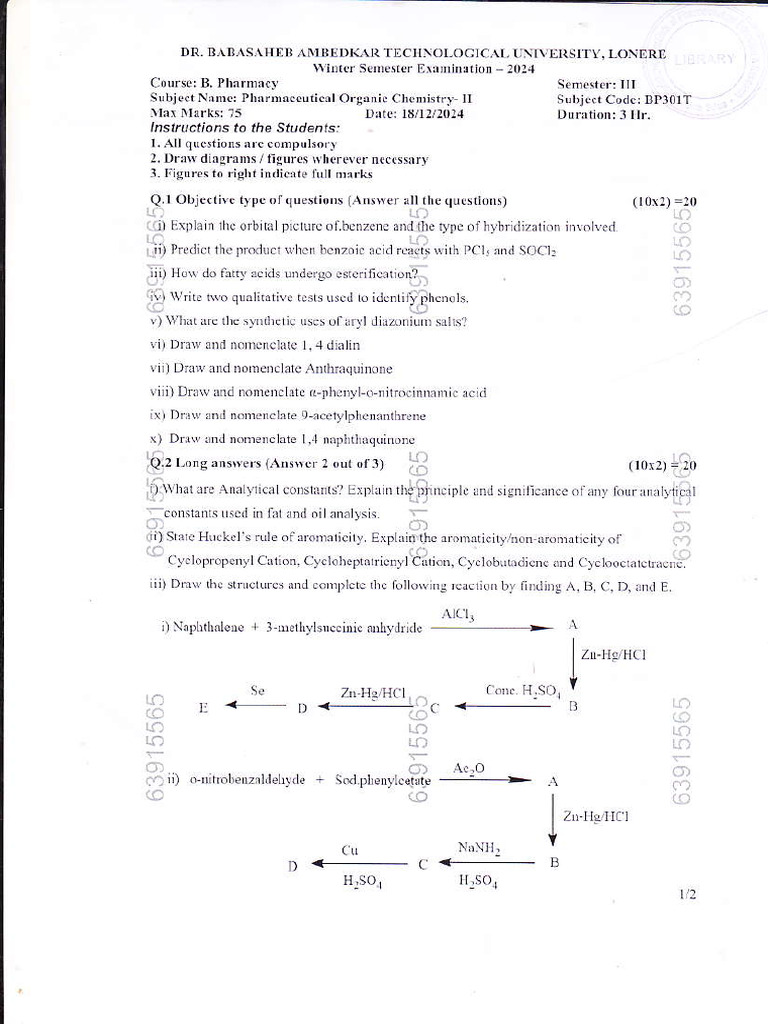 301BP POC II Dec.2024 W | PDF