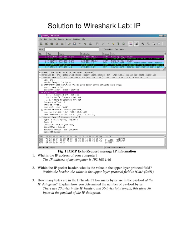 06-Wireshark IP Solution July 22 | PDF | Internet Protocols | Network ...