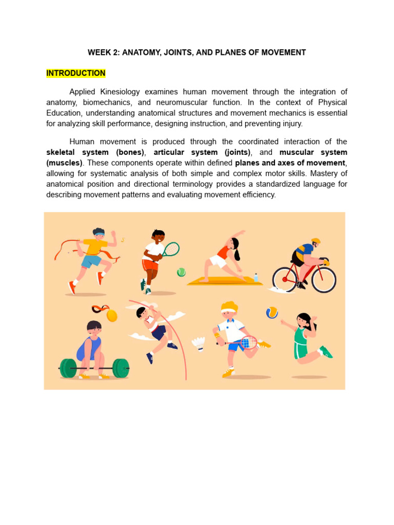 Week 2 - Anatomy Joints and Planes of Movement | PDF | Anatomical Terms ...