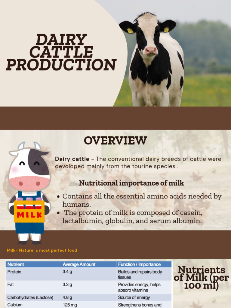 Dairy Cattle Production | PDF | Dairy Cattle | Milk