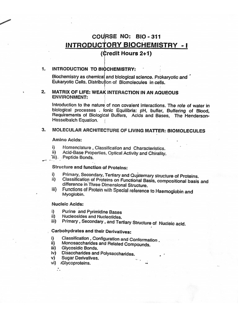Document 31 | PDF