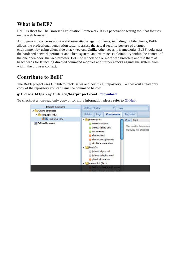 BeEF XSS Framework PDF Computing Software