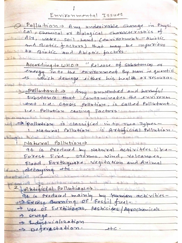 12 My Environmental Issues | PDF