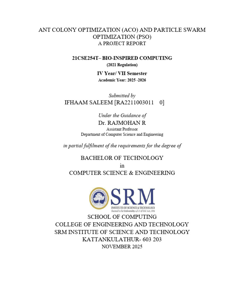 Bio Inspired Computing Report FINAL | PDF | Applied Mathematics ...