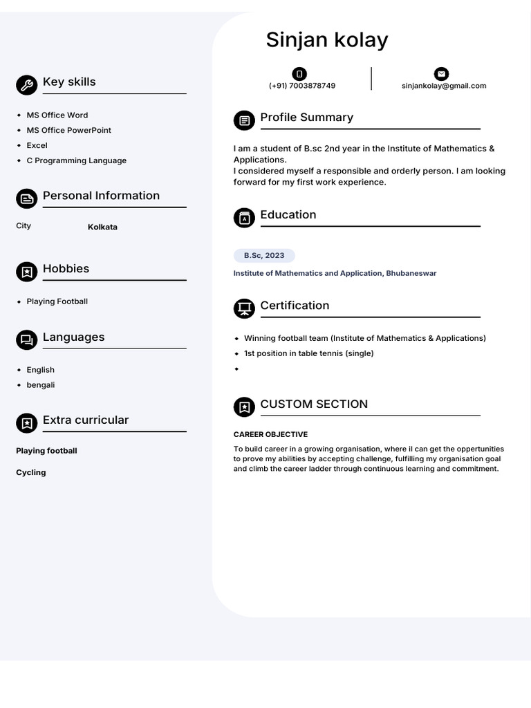 Sinjan Kolay: Key Skills | PDF