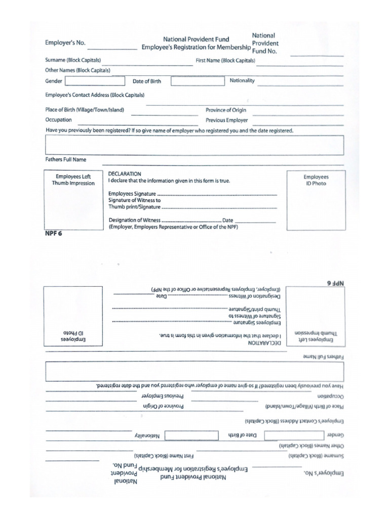 NPF Form | PDF