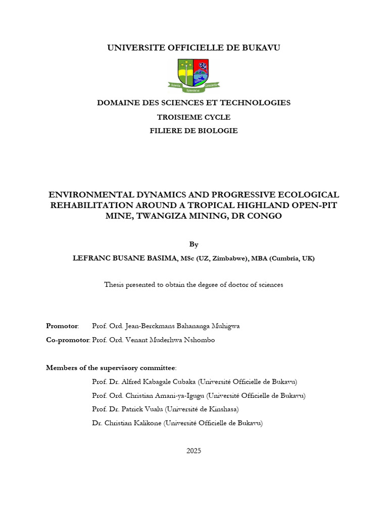 Final Thesis Dissertation - Final | PDF | Mining | Environmental ...