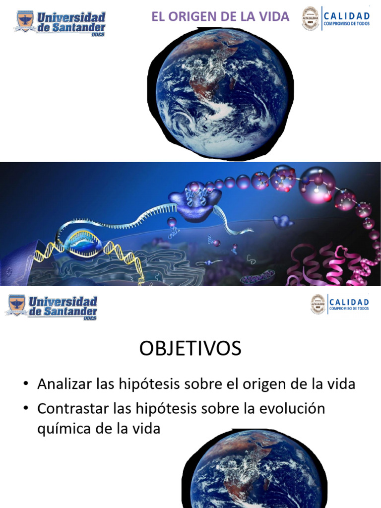 El Origen de La Vida 2026 | PDF | Compuestos orgánicos | Biología
