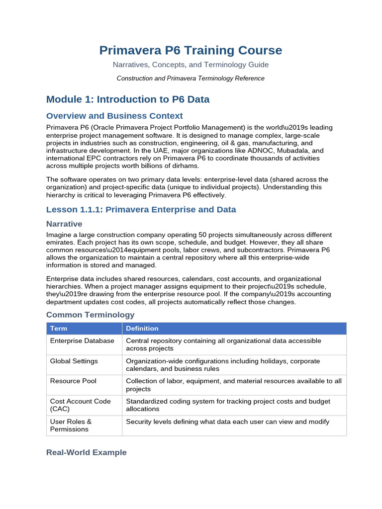 Primavera P6 Narratives and Terminology | PDF