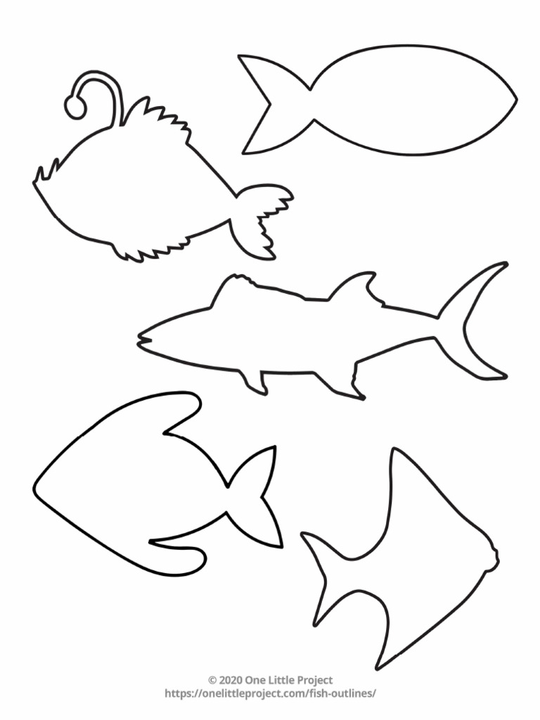 Fish Shapes | PDF
